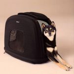Thumbnail Image 4590